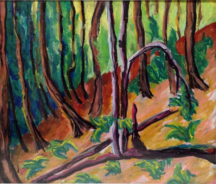 Forrest scene with some fallen trees scattered on the ground surrounded by green foliage